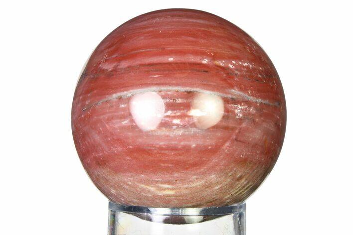 Colorful Petrified Wood (Araucaria) Sphere - Madagascar #317296